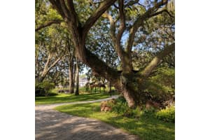 11102 SHADY OAK STREET, ORLANDO, FL 32832 - MLS#MFRR4911196