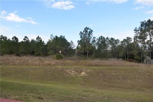 16234 Coopers Hawk Ave, Clermont, FL 34714, Sold 04/24/17