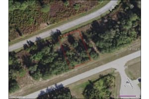 1597 MARLIN DR, POINCIANA, FL 34759 - MLS#MFRS4856623