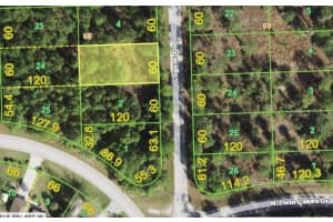 12333 COGNAC DR, PUNTA GORDA, FL 33955 - MLS#MFRS5050860