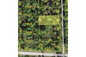 12337 GRAFFITI DR, PUNTA GORDA, FL 33955 - MLS#MFRS5050869