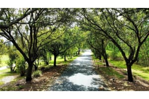 468 Canary Island Cir, Davenport, FL 33837, Sold 06/30/22