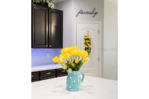 17456 BELLA NOVA DR, ORLANDO, FL 32820 Sold 08/24/22