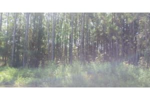 COMMONWEALTH AVE N, POLK CITY, FL 33868 - MLS#MFRS5071648