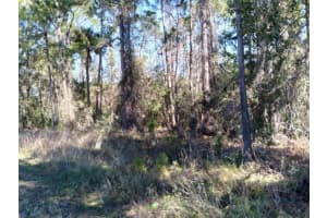 EVANS RD, POLK CITY, FL 33868 - MLS#MFRS5071778