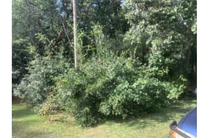 1370 HOMOSASSA DR, KISSIMMEE, FL 34759 - MLS#MFRS5076182