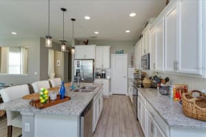 15691 ORANGE HARVEST LOOP, WINTER GARDEN, FL 34787 Sold 03/16/23