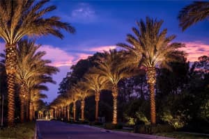 14501 GROVE RESORT AVENUE, WINTER GARDEN, FL 34787 Sold 01/16/24