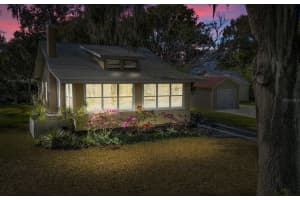 427 N Simpson Street, Mount Dora, Florida 32757