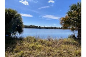 3412 LAKE DIANE RD, TAVARES, FL 32778 - MLS#MFRS5081753