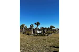 3412 LAKE DIANE RD, TAVARES, FL 32778 - MLS#MFRS5081753