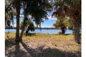 3412 LAKE DIANE RD, TAVARES, FL 32778 - MLS#MFRS5081753