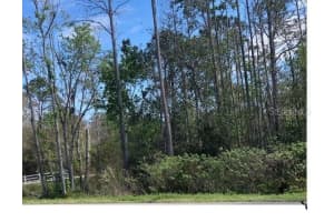 0000 POYNER ROAD, POLK CITY, FL 33868 - MLS#MFRS5082292