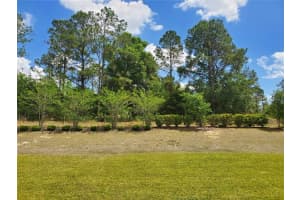 977 SHADY TREE LANE, DAVENPORT, FL 33897 Sold 06/15/23