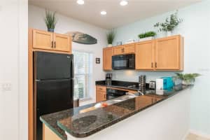 3054 YELLOW LANTANA LANE, KISSIMMEE, FL 34747 Sold 06/12/23