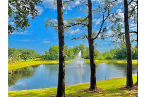 8801 DUNES COURT, KISSIMMEE, FL 34747 Sold 06/16/23