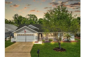 236 OAK CHASE PLACE, DAVENPORT, FL 33896 Sold 06/14/23