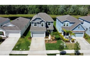 4393 DESERT ROSE AVENUE, KISSIMMEE, FL 34746 Sold 07/25/23