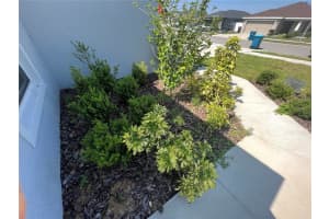 343 TANAGER STREET, HAINES CITY, FL 33844 Sold 08/21/23