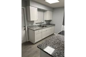 1233 SAGO PALM BOULEVARD, KISSIMMEE, FL 34741 Sold 07/18/23