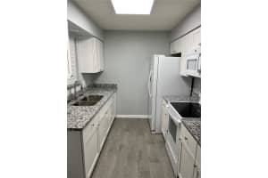 1233 SAGO PALM BOULEVARD, KISSIMMEE, FL 34741 Sold 07/18/23