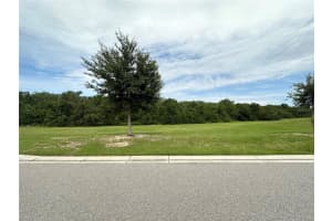 252 SUNNY DAY WAY, DAVENPORT, FL 33897 Sold 08/18/23