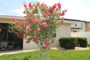 112 ALFORD DRIVE, DAVENPORT, FL 33896 Sold 07/28/23