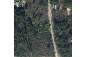 218 DREAMERS DRIVE, LAKE PLACID, FL 33852 Sold 02/11/25