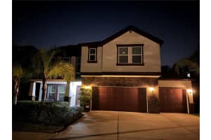 19240 PEPPER GRASS DRIVE, TAMPA, FL 33647 Sold 02/29/24