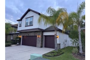 19240 PEPPER GRASS DRIVE, TAMPA, FL 33647 Sold 02/29/24