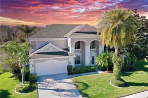 3157 HANGING MOSS CIRCLE, KISSIMMEE, FL 34741 Sold 02/29/24