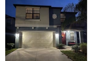 10007 ROSEMARY LEAF LANE, RIVERVIEW, FL 33578 Sold 04/11/24