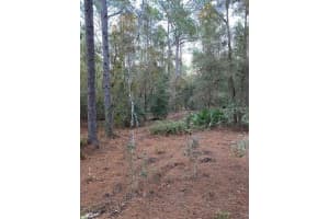 6805 131ST CIRCLE, OCALA, FL 34481 Sold 12/27/24