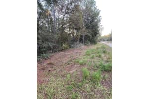 6805 131ST CIRCLE, OCALA, FL 34481 Sold 12/27/24