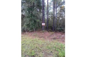 6805 131ST CIRCLE, OCALA, FL 34481 Sold 12/27/24