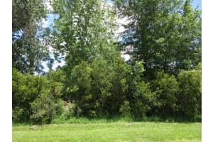 1144 PERPIGNAN COURT, KISSIMMEE, FL 34759 Sold 10/06/25