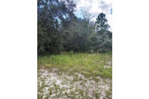 1263 BALTIC DRIVE, POINCIANA, FL 34759 Sold 05/21/25