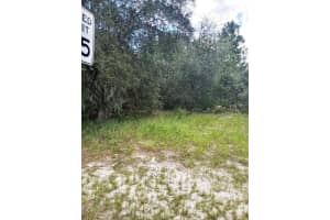 1263 BALTIC DRIVE, POINCIANA, FL 34759 Sold 05/21/25