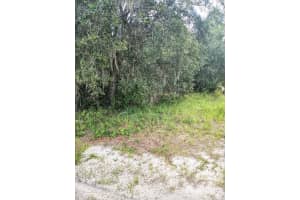 1263 BALTIC DRIVE, POINCIANA, FL 34759 Sold 05/21/25