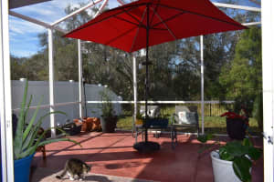 1081 HENDON LOOP, DAVENPORT, FL 33837 Sold 04/23/24