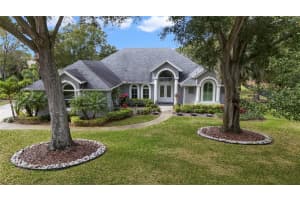 9653 CROWN PRINCE LANE, WINDERMERE, FL 34786 Sold 04/12/24
