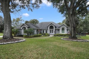 9653 CROWN PRINCE LANE, WINDERMERE, FL 34786 Sold 04/12/24