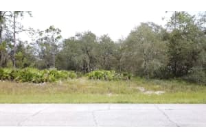 1405 SARASOTA COURT, POINCIANA, FL 34759 - MLS#MFRS5099191