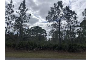 0 ALLAMANDA LOT 11 DRIVE, INDIAN LAKE ESTATES, FL 33855 - MLS#MFRS5099657