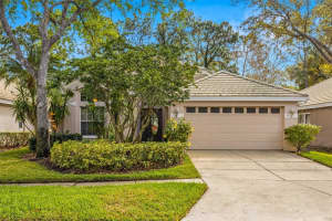 17618 NATHANS DRIVE, TAMPA, FL 33647 Sold 03/31/25