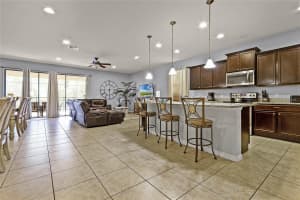 8812 MACAPA DRIVE, KISSIMMEE, FL 34747 Sold 10/25/24