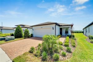 19383 COASTAL SHORE TERRACE, LAND O LAKES, FL 34638 Sold 07/25/24