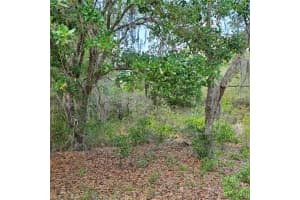 1345 ST AUGUSTINE COURT, KISSIMMEE, FL 34759 - MLS#MFRS5103635