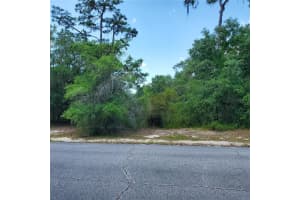 1345 ST AUGUSTINE COURT, KISSIMMEE, FL 34759 - MLS#MFRS5103635