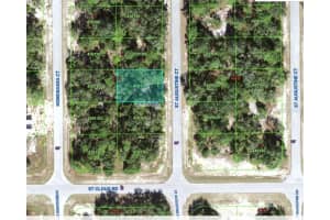 1345 ST AUGUSTINE COURT, KISSIMMEE, FL 34759 - MLS#MFRS5103635